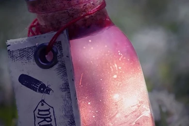 Cute And Pretty Iphone Wallpapers