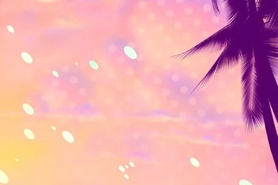 Cute Wallpapers On Pinterest