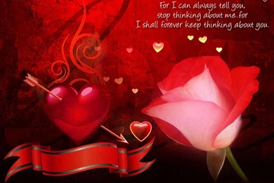 Love Wallpaper,download Free Wallpaper,free Images