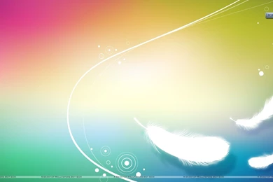 Rainbow Feather Abstract Backgrounds Wallpapers