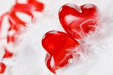 Love Wallpaper,download Free Wallpaper,free Images