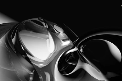 Black And Silver Shell Wallpapers   3D Wallpapers