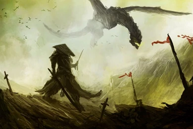 1440x900 Samurai Dragon Wallpapers