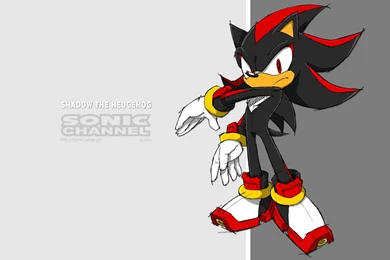 2012/11   Shadow The Hedgehog   Sonic Channel   Gallery   Sonic SCANF