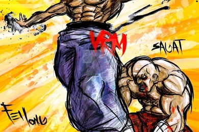 SFIV Splatter Fei Long By Vegett0 On DeviantArt