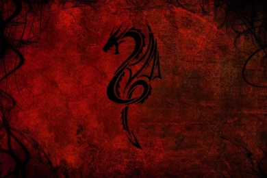 Download Dragon Wallpapers Widescreen