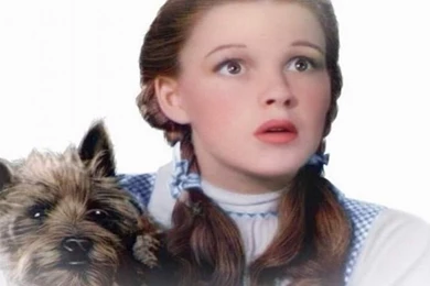 DOROTHY AND TOTO THE WIZARD OF OZ WALLPAPER   (