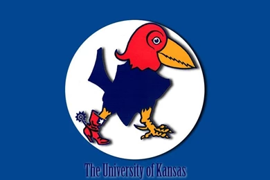 Computer Desktop Wallpapers University Of Kansas