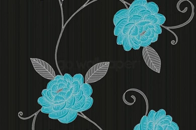 Teal And Black Wallpapers   Wallpapers HD Fine