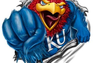 Jayhawk   DeviantArt