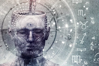 What Is The PINEAL? Activations!!! Scientific a Pea sized Conical ...