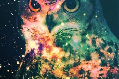 Third Eye On Pinterest