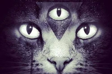 3rd Eye Kitty