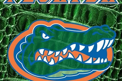 University Of Florida Gators iPhone 5 Wallpapers   Scott G Sanders