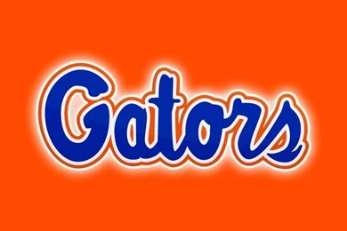 Florida Gators On Pinterest