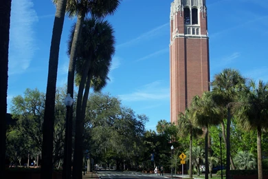 30 Online Schools With The Highest Graduation Rates   Online ...