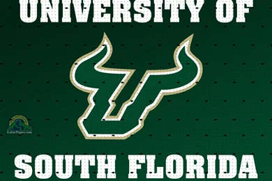 FREE USF WALLPAPER