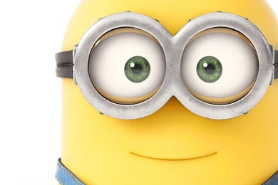 Minions (2015): Animated Film Hd Wallpapers