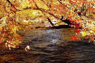 Fall Color   Autumn Wallpapers 1280x1024 NO.18 Desktop Wallpapers ...