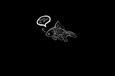 Goldfish Wallpapers By RamenWarrior On DeviantArt