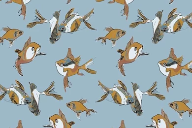 Imperial Goldfish Wallpapers   Wrangled