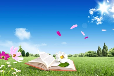 3D Nice Summer Desktop Wallpapers Free 3D Nice Summer Desktop ...