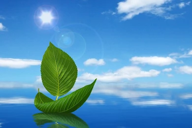 Nice_desktop_ wallpaper _hd_ nature _free _download.jpg