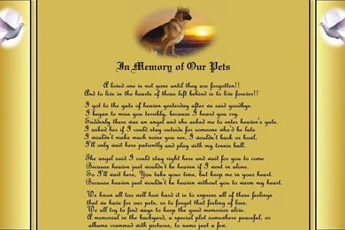 Other: Memory Pets Usmc Marines Recon Marine Corps Free Download ...