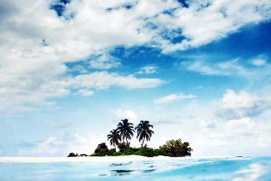 83 Top 100 nice nature desktop wallpaper and background tree in ...