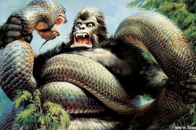 Anaconda Wallpapers Wallpapers Cave