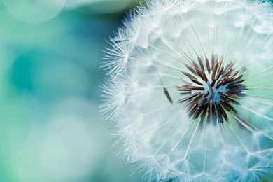 Maatwerk Zorg Coaching