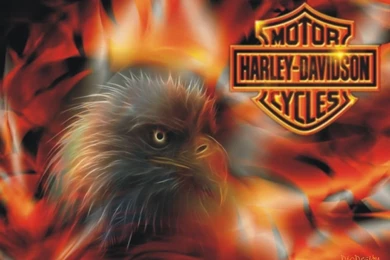 Free Harley Davidson Wallpapers   Wallpapers Cave