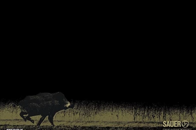 SAU 02466_Wallpaper_1024x768_6.jpg