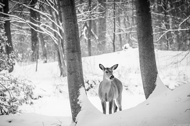 Hd Images, Windows Wallpaper, Tablet Desktop Images, Download ...