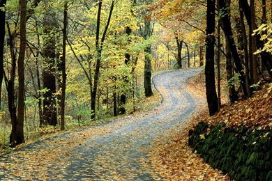 Road Nature HD Alluring Wallpapers Free HD Wallpapers   Download ...
