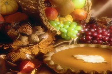 Paramore free wallpaper and screensavers 114 53994 Desktop ...