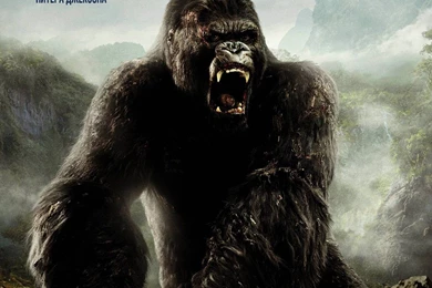 King Kong Wallpapers   Wallpapers Cave