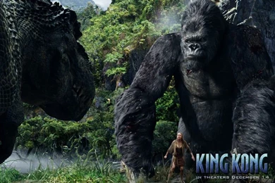 Naomi Watts Naomi Watts In King Kong Wallpapers 23 800x600