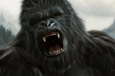 King Kong HD Wallpapers.