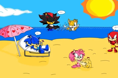 Sonic And Friends On The Beach By KnucklesCoolEchidna On DeviantArt