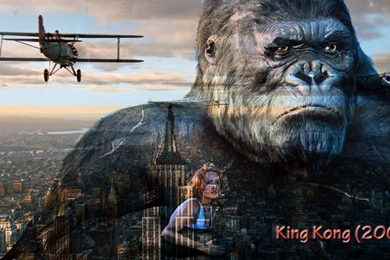 King Kong 2005 Quotes. QuotesGram