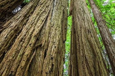 Oppo Find 7 Lock Stock HD Wallpaper 1 6 576x1024.jpg