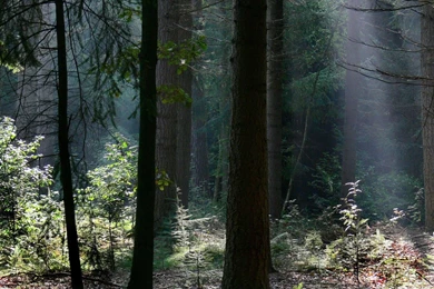 Horror Wallpapers — Free Full HD Wallpaper. Widescreen HQ Desktop ...