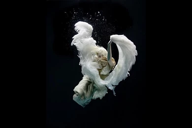 Wallpapers Black Angel Angels Graphics Dark Water 1280x800 ...