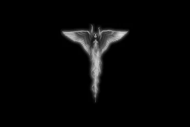 Black Angel Wallpapers   Wallpapers Cave