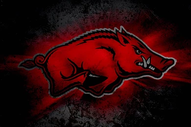 Pictures > Arkansas Razorbacks Wallpapers