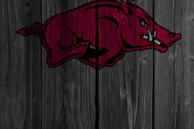 Arkansas Wallpapers, Browser Themes & More For Razorbacks Fans