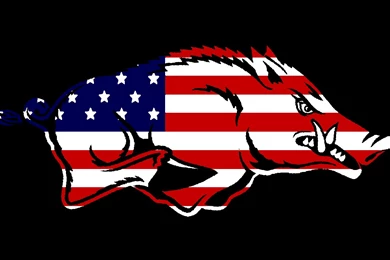 Gallery For   Razorback Wallpaper Backgrounds