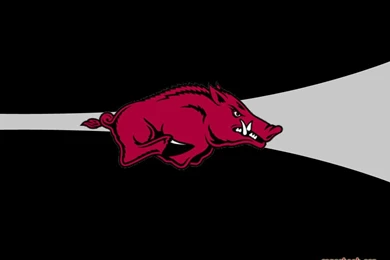 Arkansas Razorbacks Wallpapers   187994