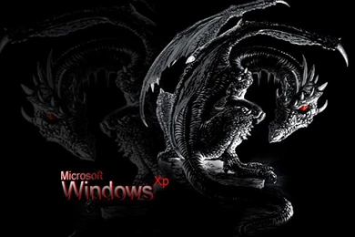 Dragon 3D Wallpapers Wallpapers HD Wide